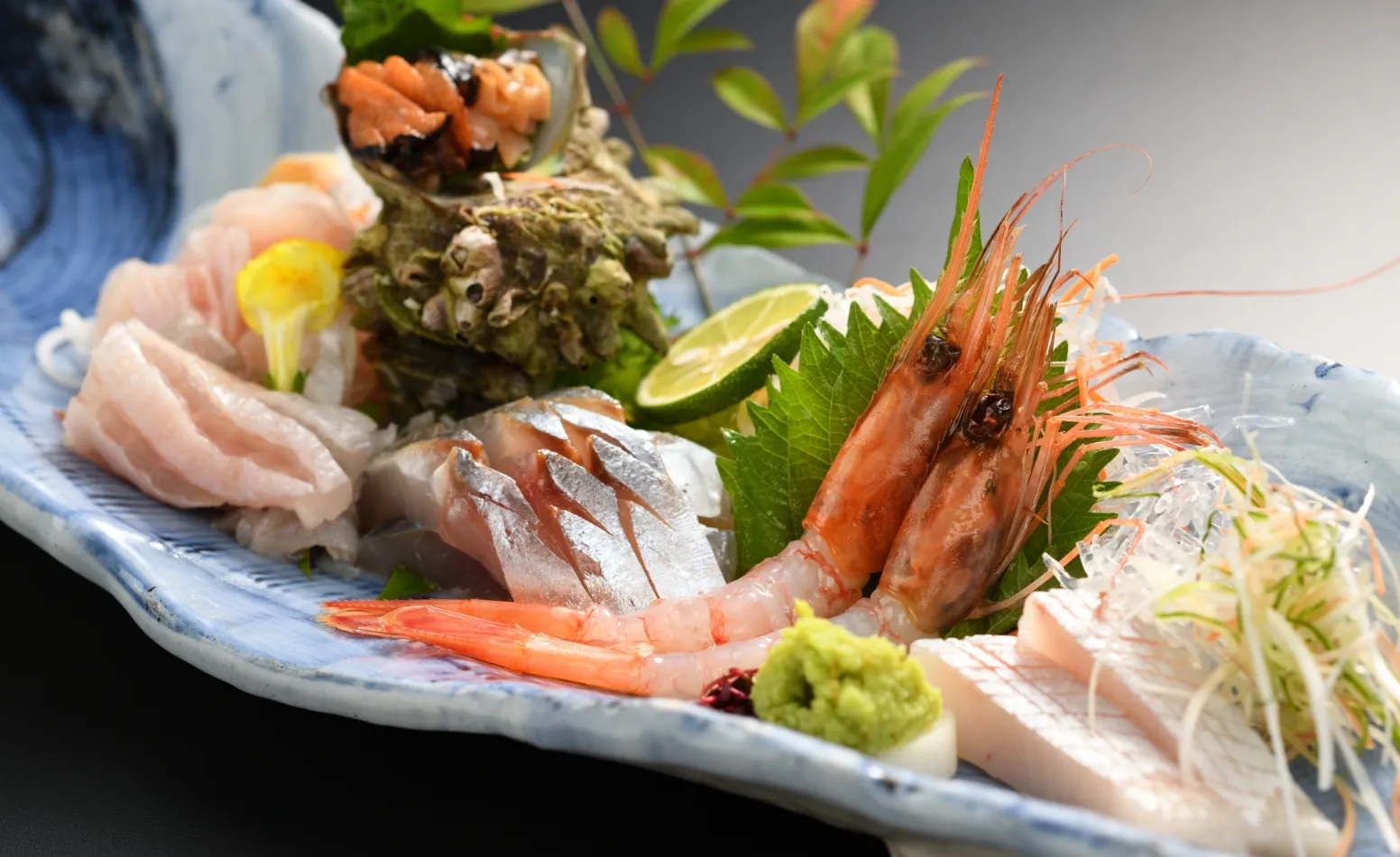 季節のお刺身6点盛り