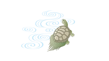 カメのイラスト
